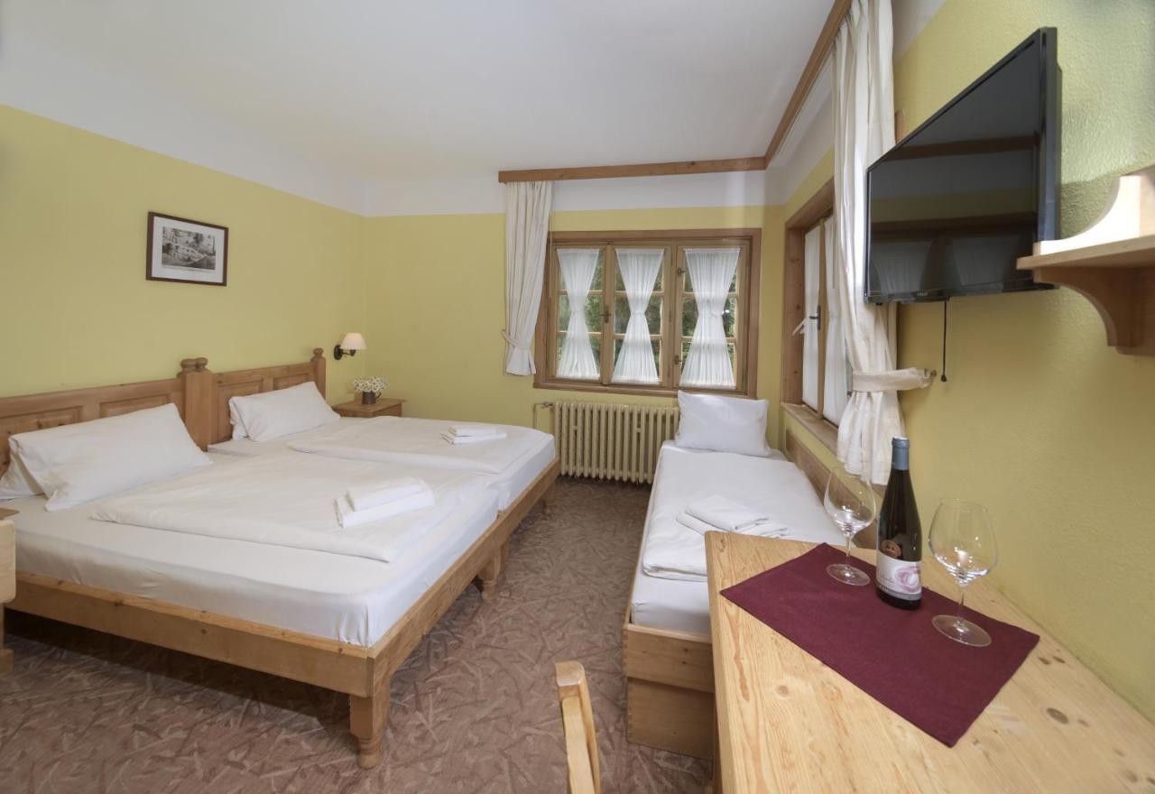 Alpsky Hotel Špindlerŭv Mlýn Buitenkant foto